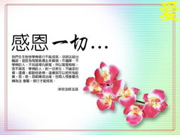 感恩老师的名言名句有哪些?