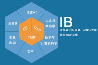 国际学校ib课程体系是什么