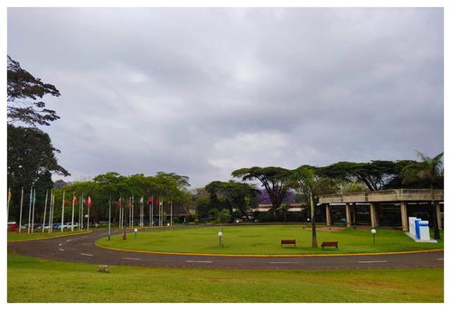 联合国环境规划署总部在哪里