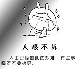 有关世道字的成语