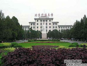 北京科技大学国际学院怎么样?