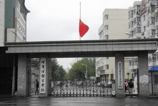 哈尔滨体育学院有哪些专业?看看体育学院最新专业介绍,让你轻松报读