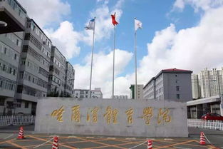 哈尔滨体育学院有几个校区