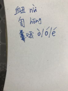 _訇怎么读