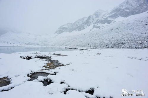 关于雪的优美句段
