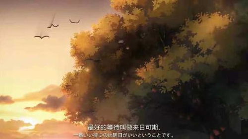 一步一步的励志句子