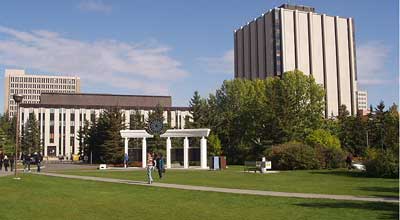 卡尔加里大学怎么样