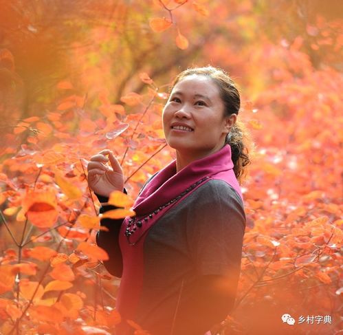 无论你今后走得多远是什么歌
