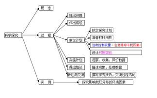 比的知识点有哪些?