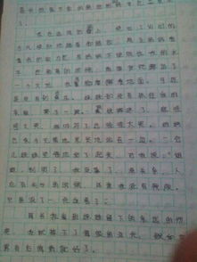 出错 作文600字 急!