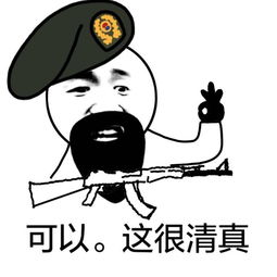 可以可以，可以可以造句短句