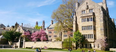 美国大学排行