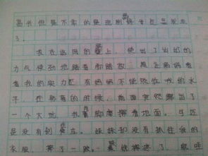 关于错误作文600字5篇
