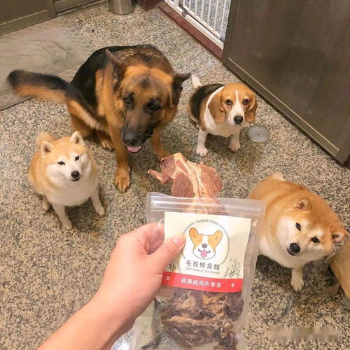 谜语:一只狗有四张口?(打一字)