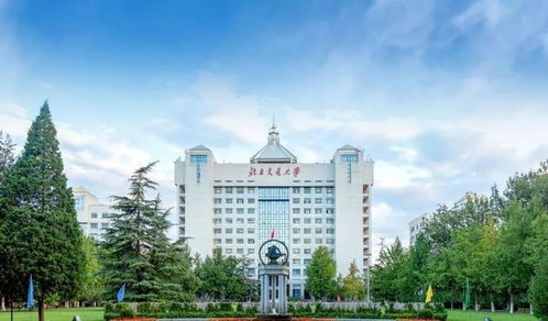 北京林业大学是985还是211