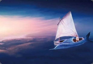 老人与海观后感