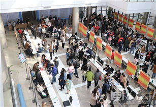 招聘会现场，招聘会现场气氛热烈