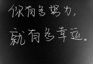 高三冲刺霸气励志口号