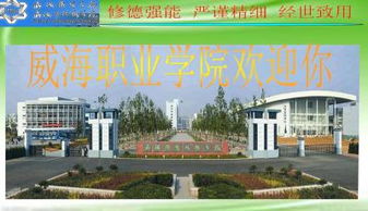 威海职业学院代码