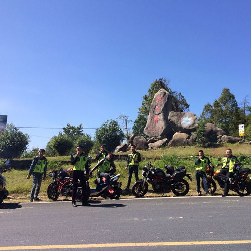 累了醉了就想哭，累了醉了就想哭六哲