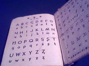 傲字用拼音查字法应查哪个字母?