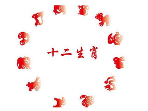 属兔的都是哪几年出生的呀?