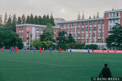 上海理工大学有哪些专业?