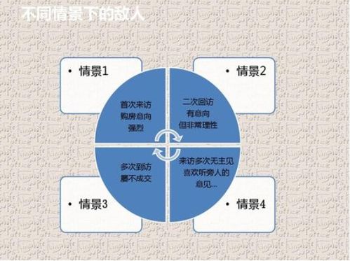 销售项目描述怎么写