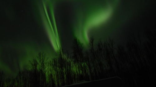 绚丽夺目是什么意思