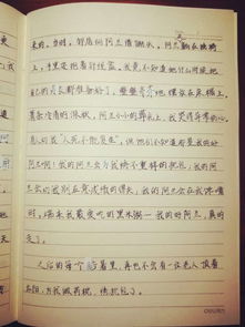 初中优美作文大全600字