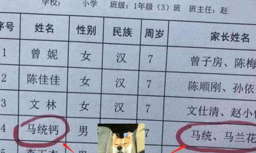 寓意好的词语有什么