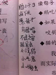 明贬实褒的句子