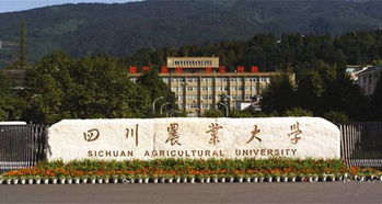 四川农业大学官网，四川农业大学官网入口