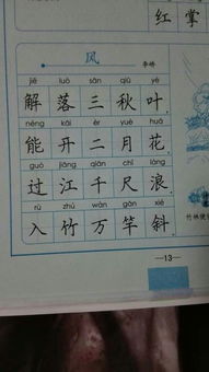 诗人的拼音