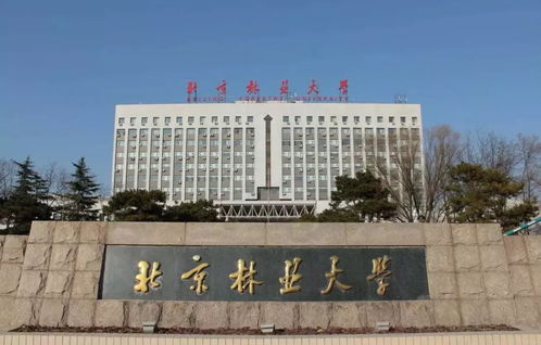 林业大学是211还是985