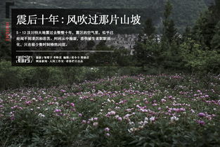 翰旋与斡旋的区别
