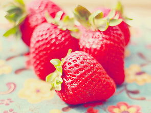 如何清洗草莓才干净