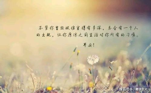 心情好一切都美好的句子