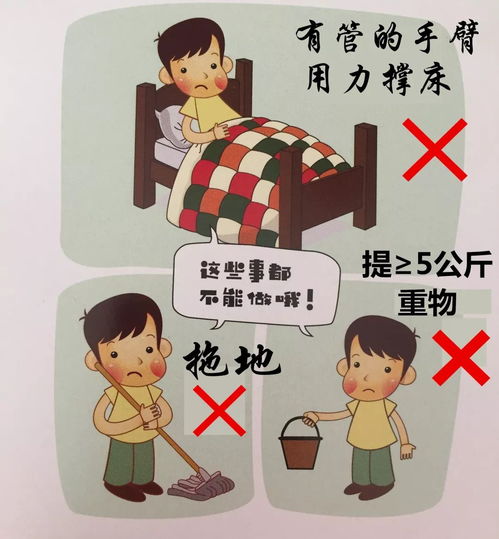 我的好伙伴作文