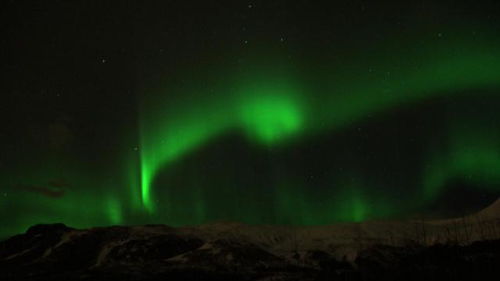 绚丽夺目的意思是