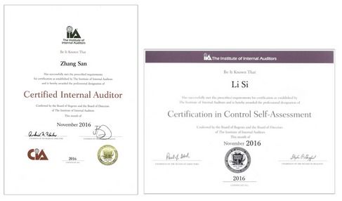 中级审计师和国际注册内部审计师的区别是什么?