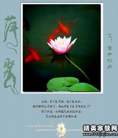 相逢何必曾相识打一成语，相逢何必曾相识打一成语是什么成语