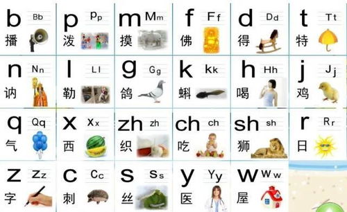 挺的拼音，挺的拼音组词