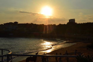 请教,胶州哪家旅行社比较好,不骗人的