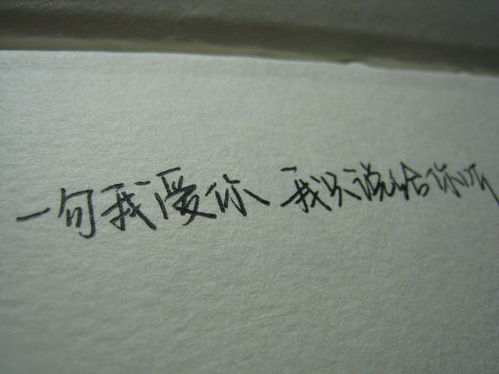 关于我爱你的情话