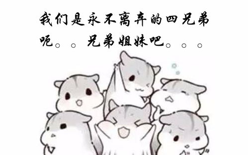 结束感情的句子，结束感情的句子简短