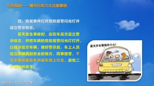 交通安全教育培训，交通安全教育培训内容