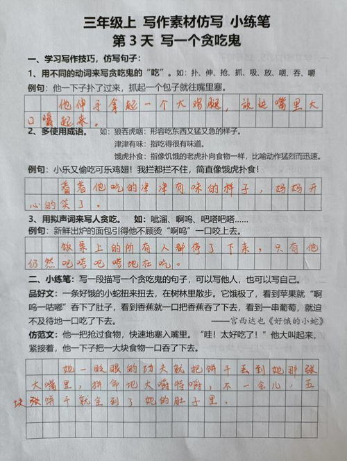 小练笔怎么写三年级上册