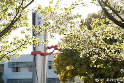 树荫和树阴的区别;阴和荫的区别是什么?