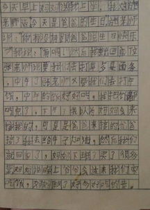 一年级作文